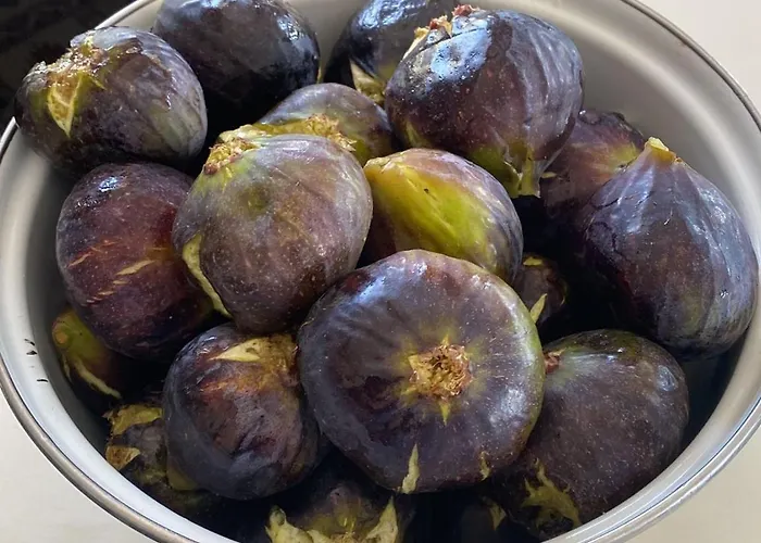 Hyka Stone House Shkodër