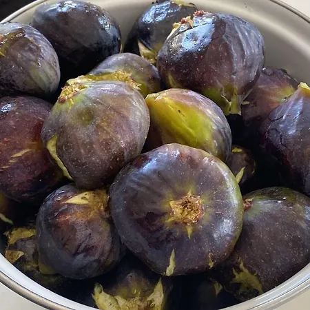 Hyka Stone House Shkodër